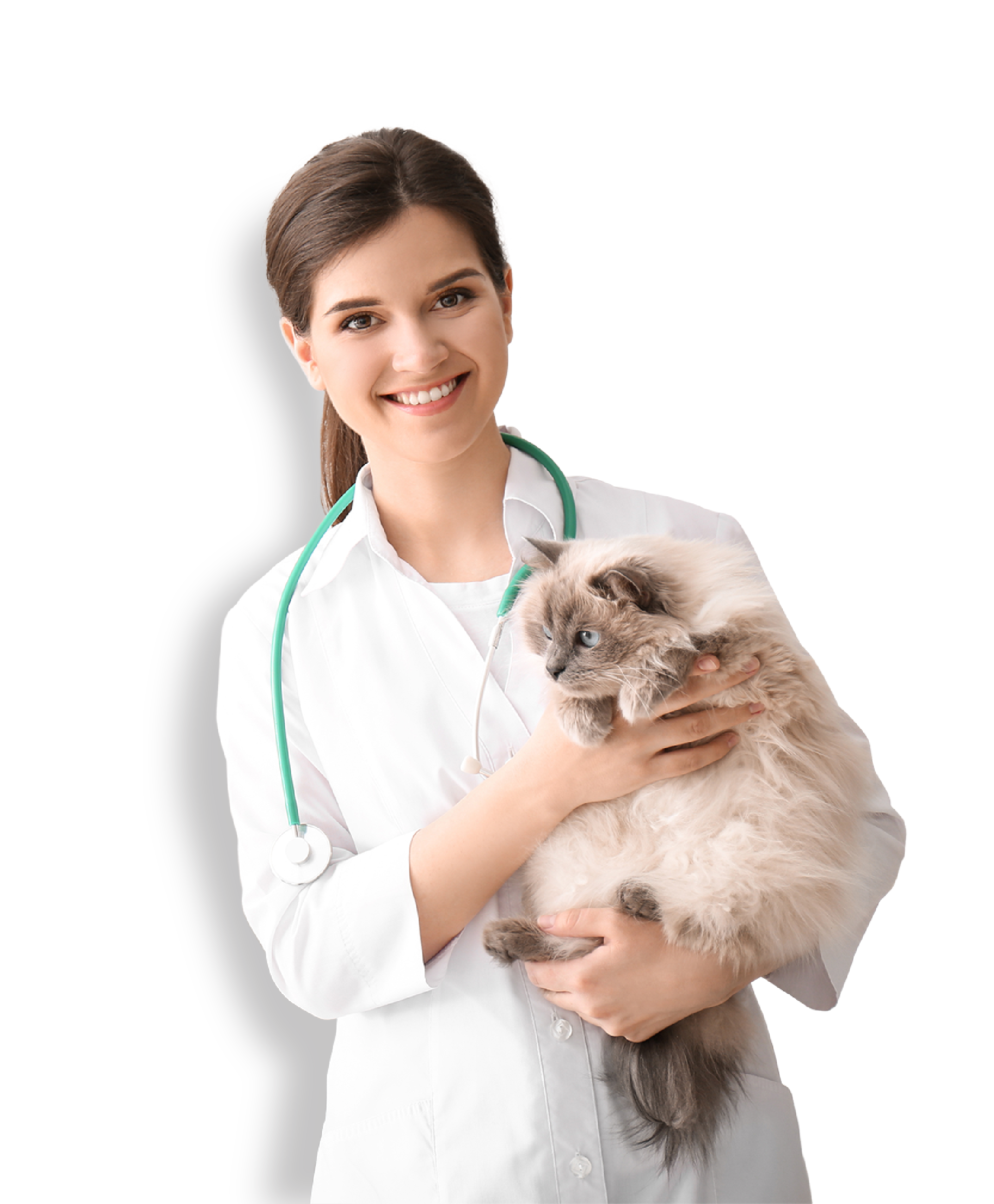 Loving Touch Animal Hospital Fredericksburg Animal Hospital