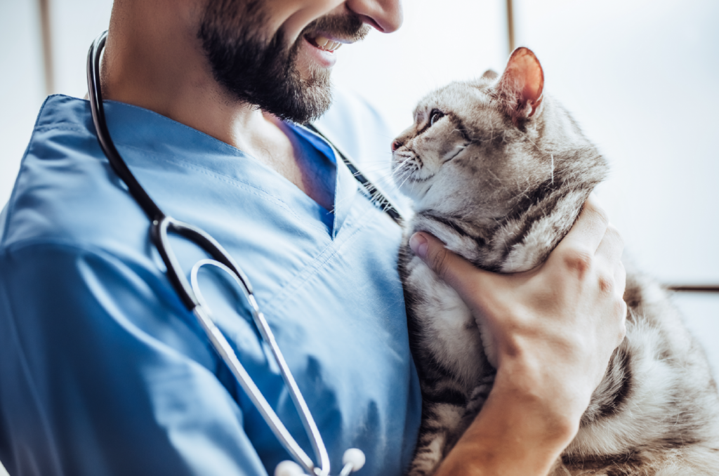Services – Loving Touch Animal Hospital